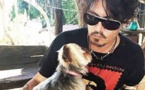 Chiens indésirables en Australie: Canberra se moque des étranges excuses de Johnny Depp