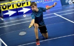 Badminton – International Challenge : Une finale interrompue mais le bilan est positif