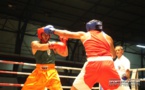 Boxe : De la quantité et de la qualité pour le gala Avia Club