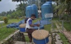 Dans un village d'Indonésie, du jus de tofu transformé en électricité verte