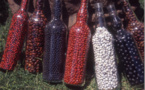 Les perles colorées de Hiva Oa