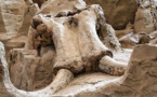 Un mammouth vieux de 14.000 ans sort de terre au Mexique