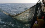 L'UE interdit la pêche en eaux profondes à plus de 800 m