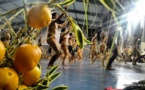 Hei Tahiti racontera jeudi soir l'histoire du plateau de Tamanu et de ses richesses