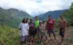 Un lambeau de forêt naturelle du plateau de Maraeti’a en cours de restauration