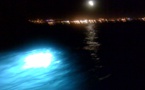 Moorea : plongée nocturne mortelle pour un jeune pêcheur au fusil de 23 ans