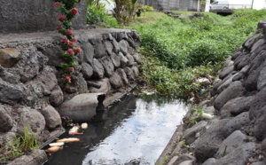 Paea épinglée par une association pour son émissaire polluant à Tiapa