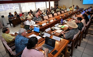 Résolution Temaru adoptée, amendement Cross rejeté