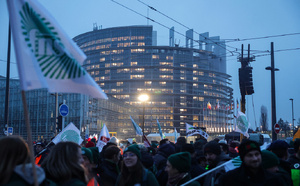Coup d'arrêt pour le Mercosur: le Parlement européen saisit la justice de l'UE