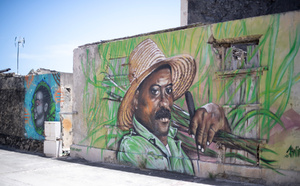 Agriculture en Outre-mer: les aides de l'UE vitales mais imparfaites