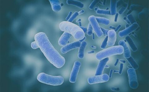 Vigilance face aux maladies gastro-intestinales