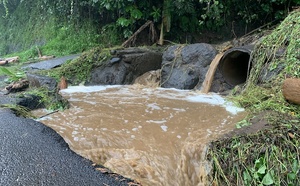 ​Recrudescence de cas de leptospirose