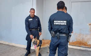 Vacances sous haute surveillance