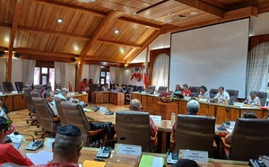 Statut des artisans : un feu vert du Cesec éclipsé par la réforme RNS