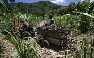Pesticides, la réforme “irréalisable”