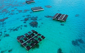 Des panneaux solaires pour sauver le corail