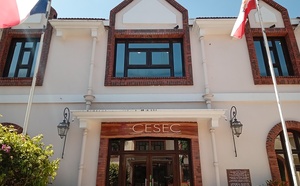 Emploi local dans la fonction publique : feu vert prudent du Cesec