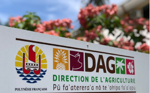 La réduction du nombre d’agents “amène de la frustration”