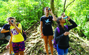 Les collégiens de Faaroa, ambassadeurs de l’environnement