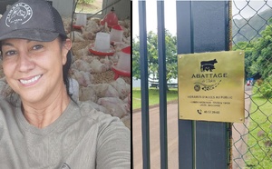 ​L’éleveuse de volailles obtient gain de cause face à l’abattoir