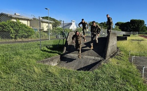 Le RimaP-P poursuit ses hommages