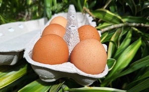 Cinquante jours après… toujours des restrictions  