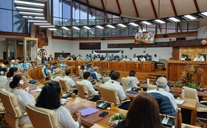 Logement : le “A noho” adopté à l’unanimité après bras de fer politique à Tarahoi