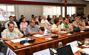 RNS : Brotherson joue son “49.3” face à une commission vent debout