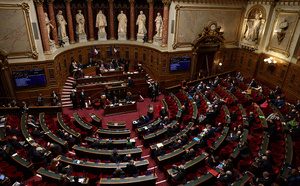 Le Sénat adopte à l'unanimité la proposition de loi Reid Arbelot sur le nucléaire