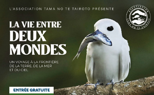 ​Une plongée entre deux mondes avec Tama nō te tairoto