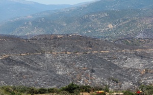 La canicule s'étend, 7.800 hectares déjà brûlés en huit jours