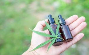 Cannabis thérapeutique : le “top départ” attendra encore