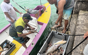 Concours de pêche lagonnaire : Une moisson de 331 kg à Hao