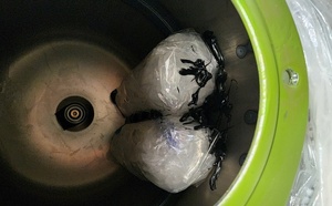 Saisie record de près de 3 kg de drogues