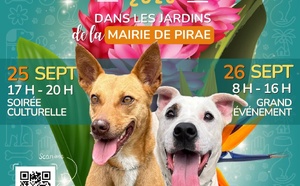 ​Relever le défi de la gestion canine en Polynésie