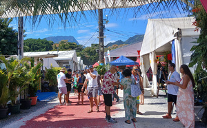 Au salon du tourisme, les pensions respirent mieux mais les billets coincent encore