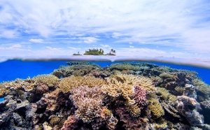 To’a Reef 2026 : l’heure est à la candidature