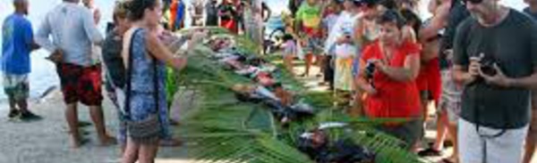 La commission du tourisme de l'Assemblée en déplacement aux Iles Sous-le-Vent