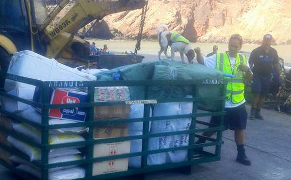 Un record pour la Polynésie : le nombre d'espèces invasives