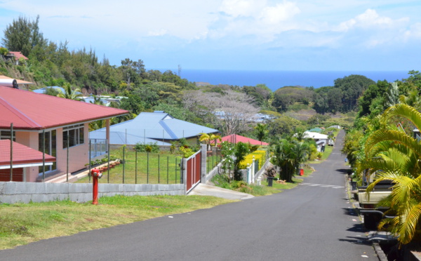 L’entrepreneur individuel protégé