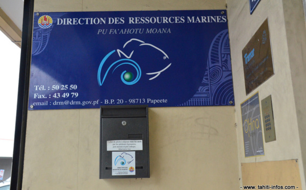 Bisbille autour de la nomination de la directrice des ressources marines et minières 