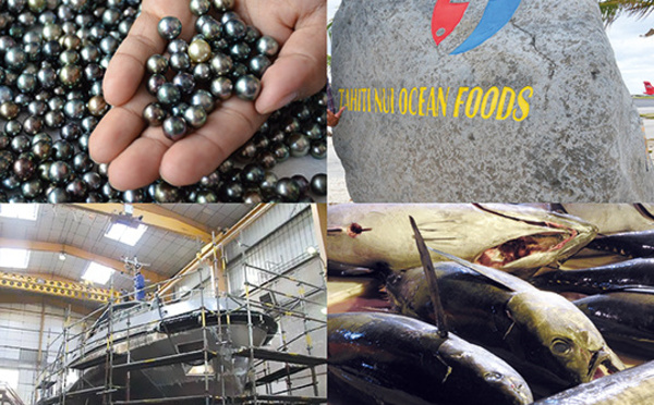 Économie bleue : un potentiel à développer