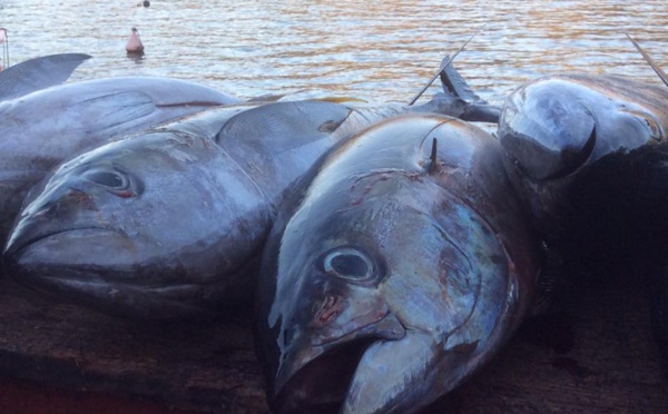 Un challenge culinaire destiné aux adolescents marquisiens