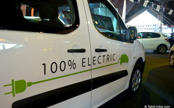 Salon de l'auto : La voiture écolo démarre en trombe