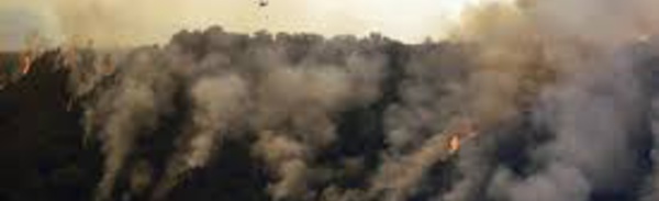 Un feu près de Big Sur en Californie atteint un coût historique
