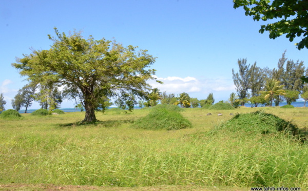 Création d’une aide pour favoriser la sortie d’indivision