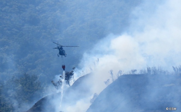 Près de 30 hectares détruits par un incendie au mont Marau