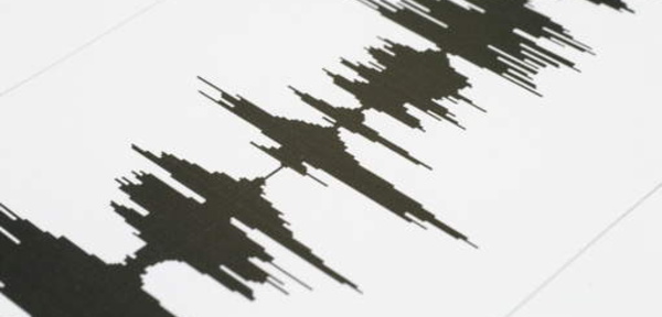 Fort séisme de magnitude 6,8 aux îles Fidji, pas d'alerte au tsunami