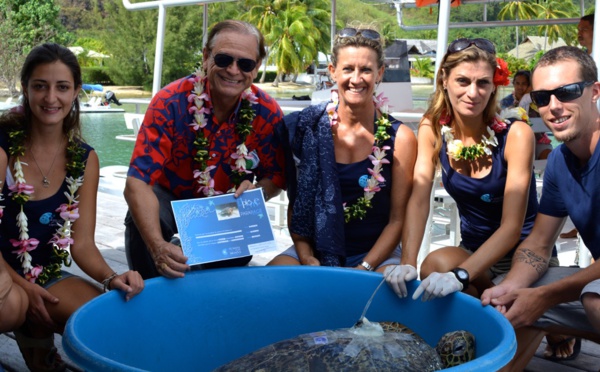 La tortue verte Apetahi retrouve la mer