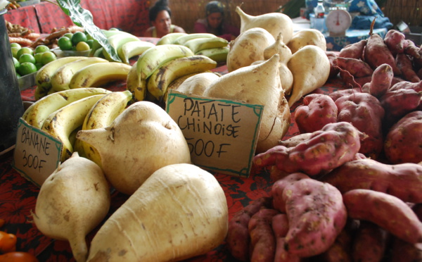 Page enfant : Le végétarisme à l’honneur samedi